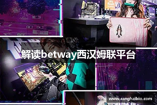 解讀betway西汉姆联平台